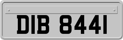 DIB8441