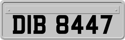 DIB8447