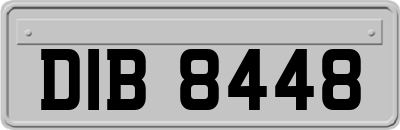 DIB8448