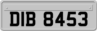 DIB8453