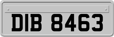 DIB8463