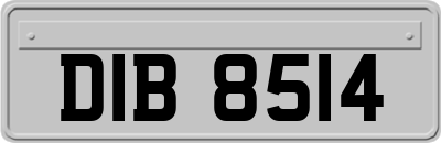 DIB8514