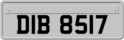 DIB8517