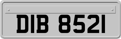 DIB8521