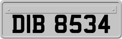 DIB8534