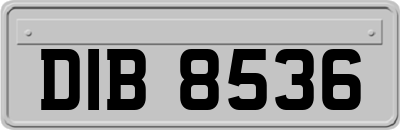 DIB8536