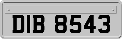DIB8543