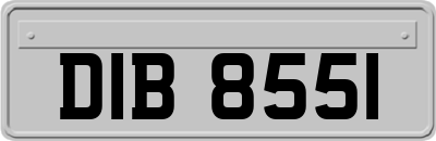 DIB8551