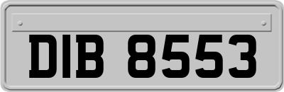 DIB8553