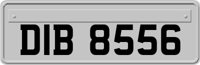 DIB8556