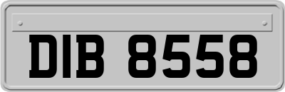DIB8558