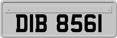 DIB8561