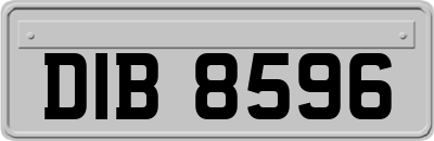 DIB8596