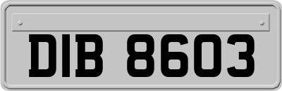 DIB8603