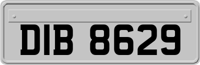 DIB8629