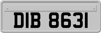 DIB8631