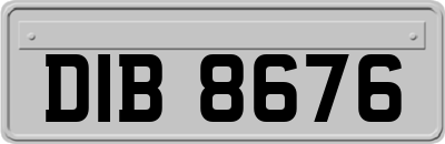 DIB8676