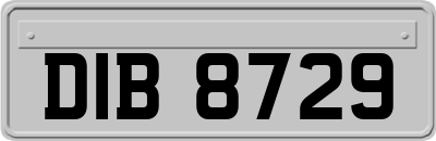 DIB8729