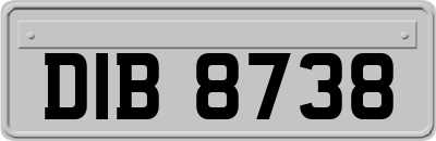 DIB8738