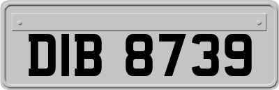 DIB8739