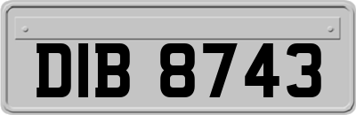 DIB8743