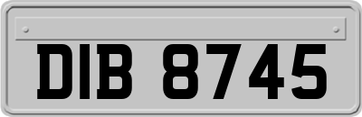 DIB8745