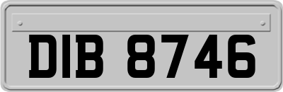 DIB8746