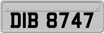 DIB8747