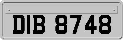DIB8748