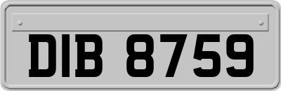 DIB8759