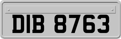 DIB8763