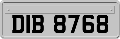 DIB8768