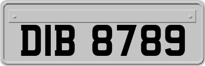 DIB8789