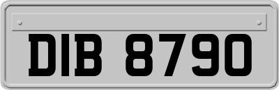 DIB8790