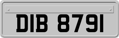 DIB8791
