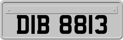 DIB8813