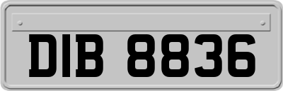 DIB8836