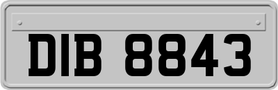 DIB8843