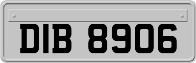 DIB8906