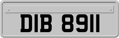 DIB8911