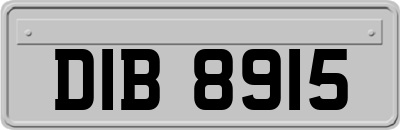DIB8915