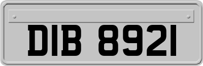 DIB8921