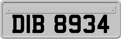 DIB8934