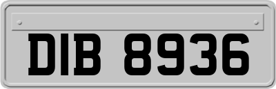 DIB8936