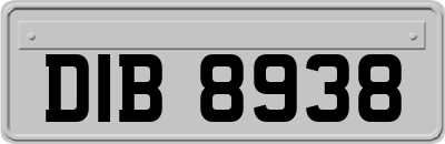 DIB8938