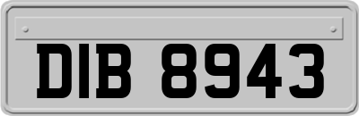 DIB8943