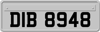 DIB8948