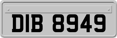 DIB8949