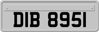 DIB8951