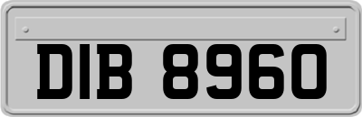 DIB8960